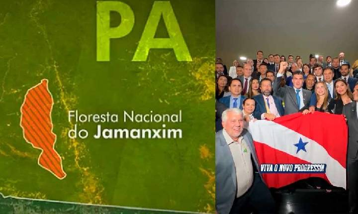 Câmara Federal aprova projeto de lei que reduz limites da Floresta Nacional do Jamanxim no Pará