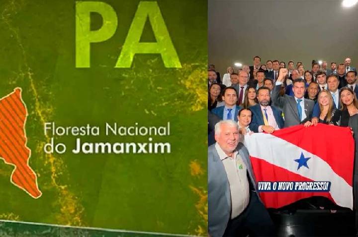 Câmara Federal aprova projeto de lei que reduz limites da Floresta Nacional do Jamanxim no Pará
