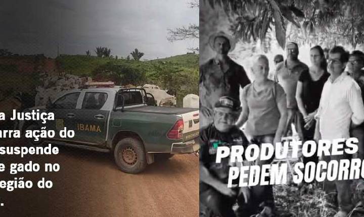 Decisão da Justiça Federal barra ação do ICMBio e suspende retirada de gado na região do Jamanxim no Pará.