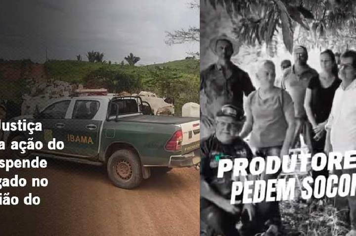 Decisão da Justiça Federal barra ação do ICMBio e suspende retirada de gado na região do Jamanxim no Pará.