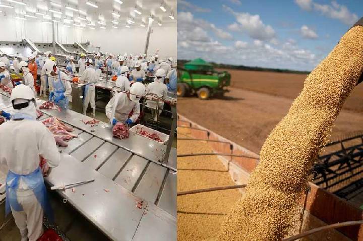 Pará registra superávit de US$ 21,5 bilhões e mantém terceira maior balança comercial do País em 2025