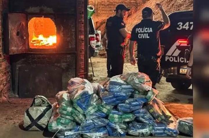 Pará tem alta de 42,5% na apreensão de drogas no primeiro trimestre de 2026
