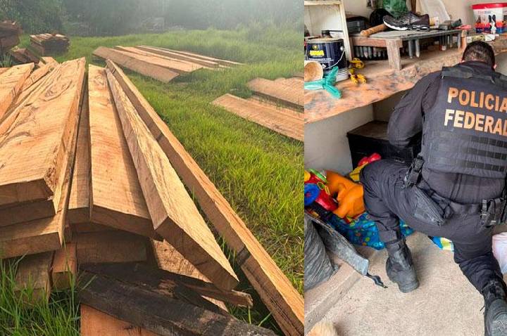 PF deflagra Operação Castelo de Fogo contra grilagem e desmatamento em Castelo dos Sonhos no Pará