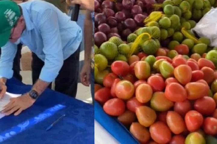 Prefeito sanciona lei que cria Selo de Inspeção Vegetal em Itaituba no Pará