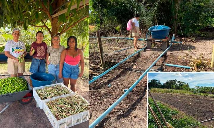 SEMED de Itaituba fortalece alimentação escolar com visita técnica ao Viveiro Tapajós