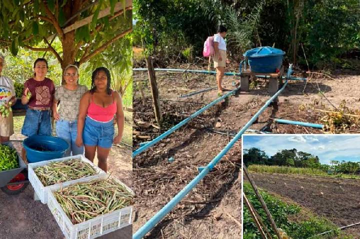 SEMED de Itaituba fortalece alimentação escolar com visita técnica ao Viveiro Tapajós