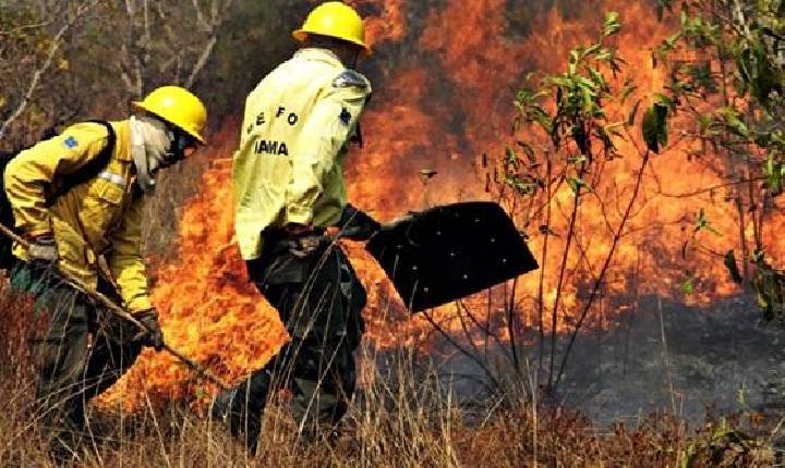 Último dia! Inscrições para brigadista encerram nesta sexta (27) em Novo Progresso