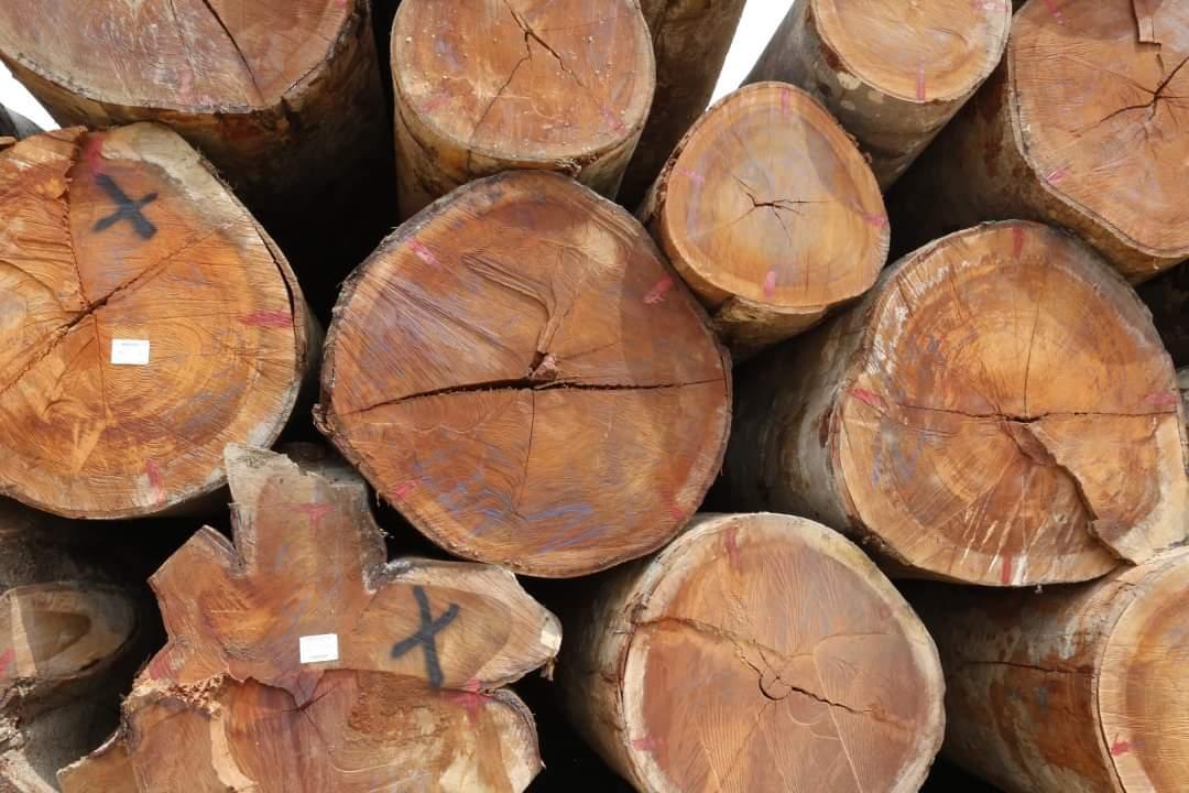 2020 11 27 cf muda vida 01