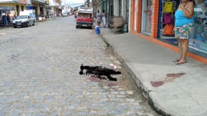 Açougueiro mata um cão a facadas após “roubar” pedaço de carne em açougue