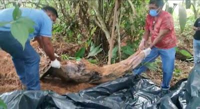 Marido é suspeito de matar esposa enterra-la e alegar que ela morreu de covid-19