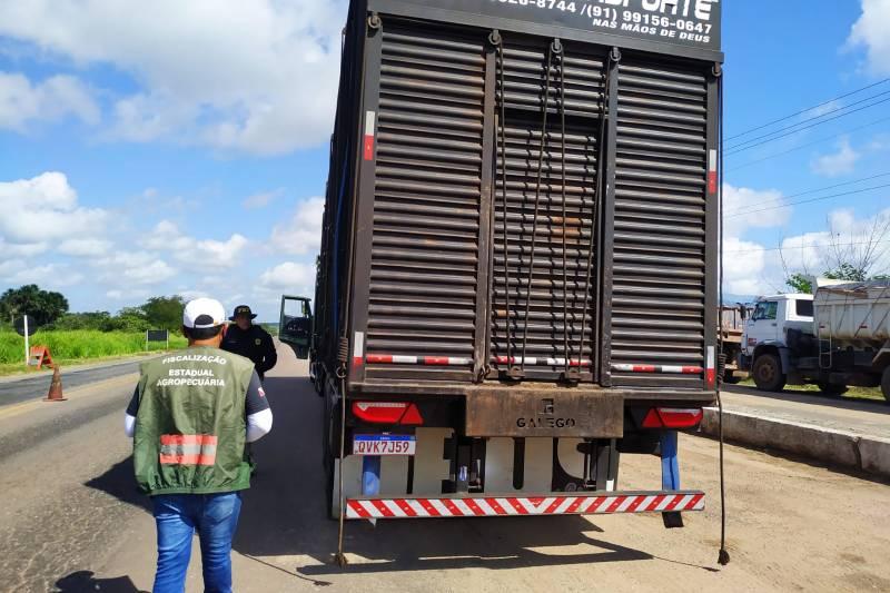 Fiscais da Adepará apreendem quase sete toneladas de produtos de origem clandestina