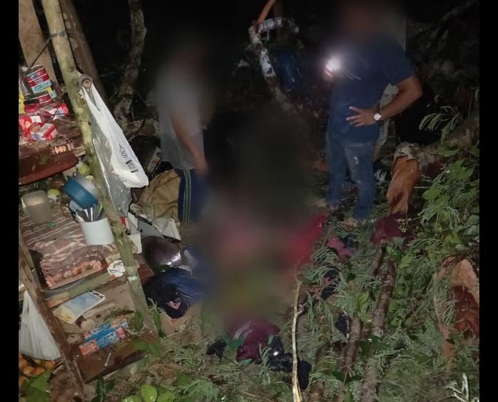 Árvore cai sobre barraco e mata mulher no Garimpo Água Branca, em Itaituba
