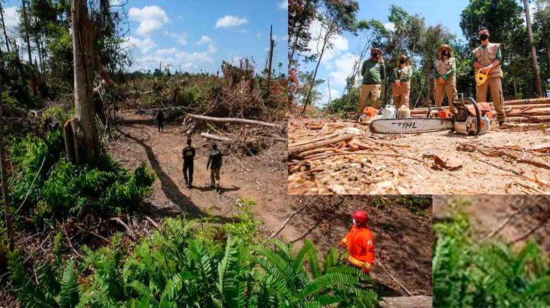 Operação da SEMAS embarga mais de 270 mil hectares de terras e interdita 62 garimpos ilegais no Pará