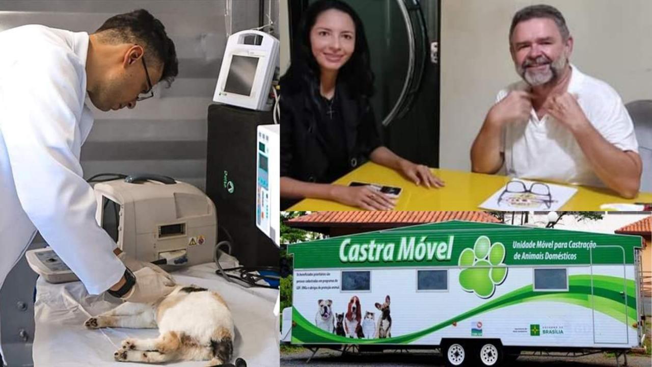 Itaituba pode receber um projeto de grande relevância na área da saúde animal do município