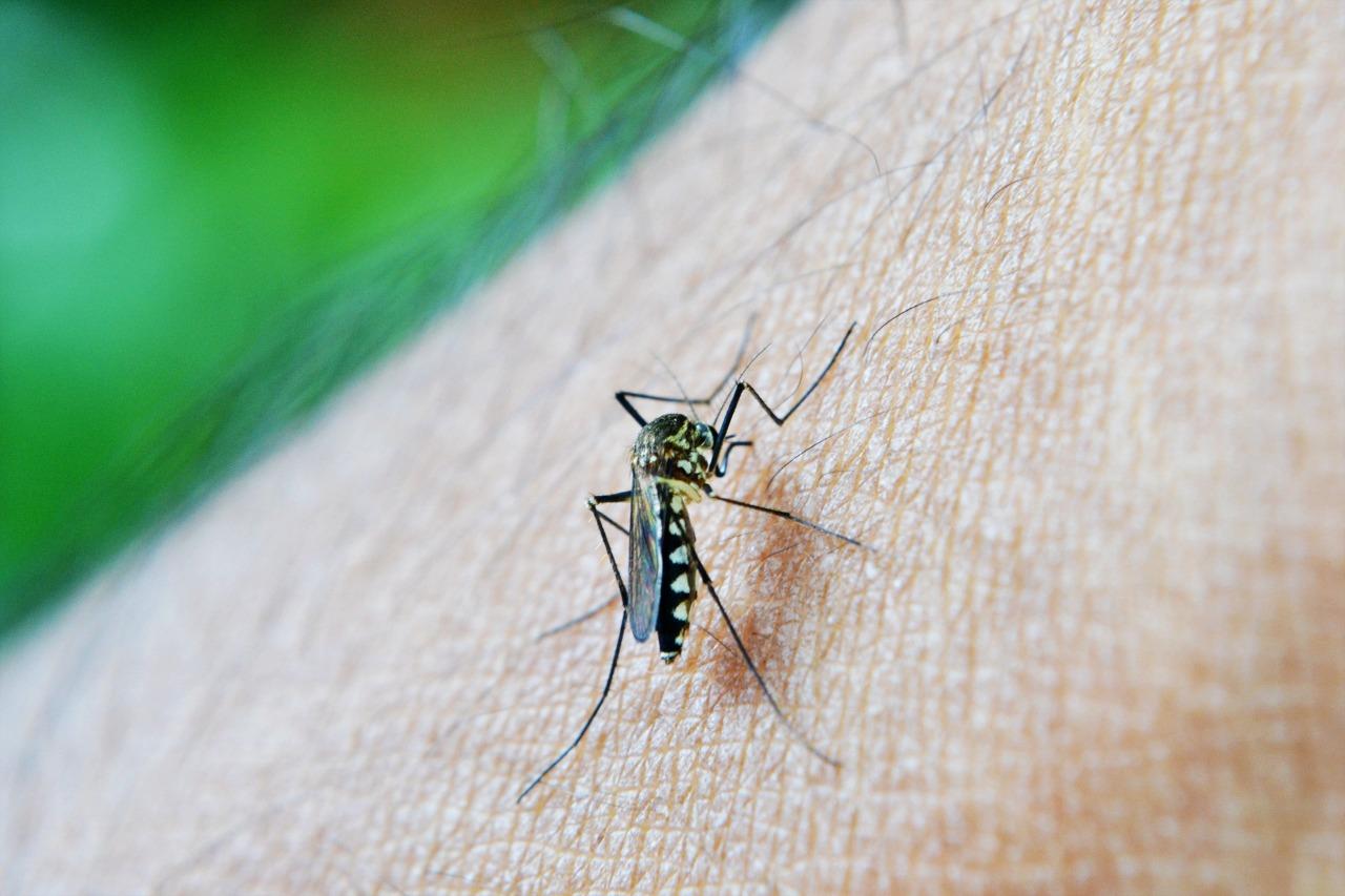 Covid-19 ou Dengue? Especialista do Hospital Regional de Marabá aponta principais sintomas e diferenças