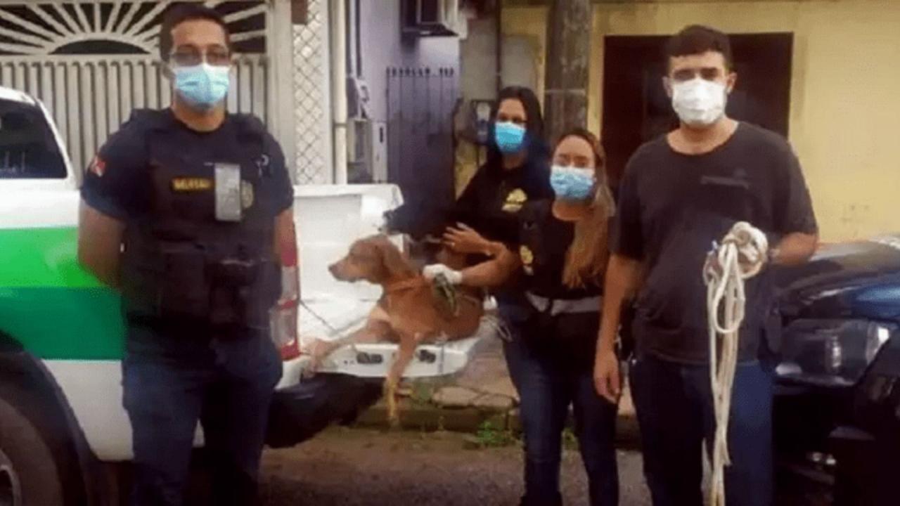 Homem é preso em flagrante por falsidade ideológica, ele fingia ser médico veterinário