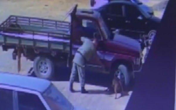 Cachorro é morto a tiro por policial em Goiás; assista