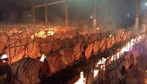 Com 20 toneladas de carne, município paraense vai preparar o 'maior churrasco do mundo'