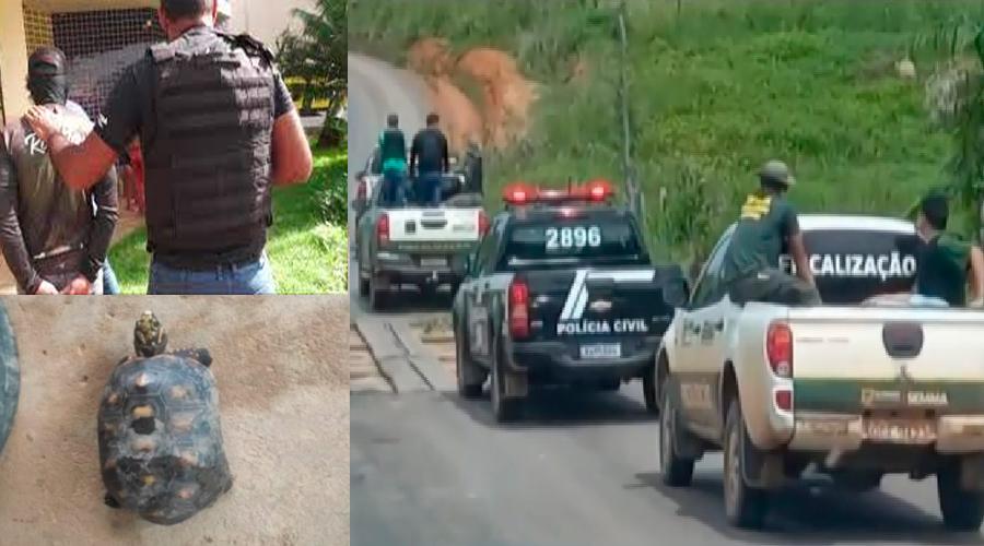 Operação desmonta serraria clandestina que desmatava área de preservação no Pará