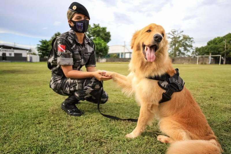 Maternidade Canina da Polícia Militar completa um ano de funcionamento no estado do Pará