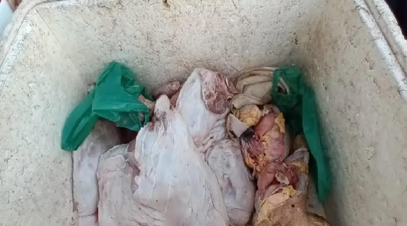 Homem é conduzido a delegacia após ser flagrado vendendo carne de caça na orla da cidade de Santarém