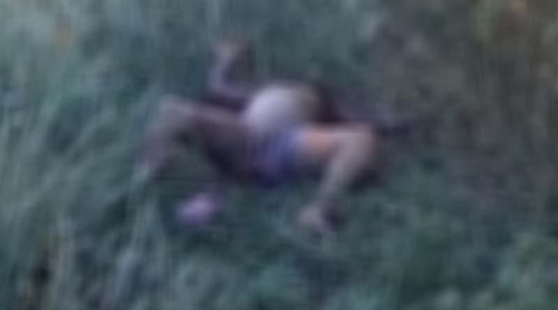 Corpo de mulher é encontrado em terreno baldio no Pará