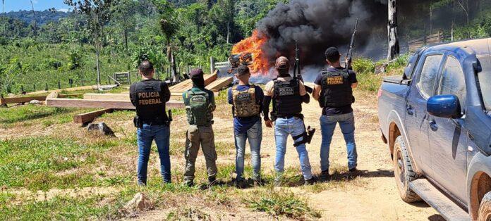Policia Federal flagra extração ilegal de madeira em Terra Indígena