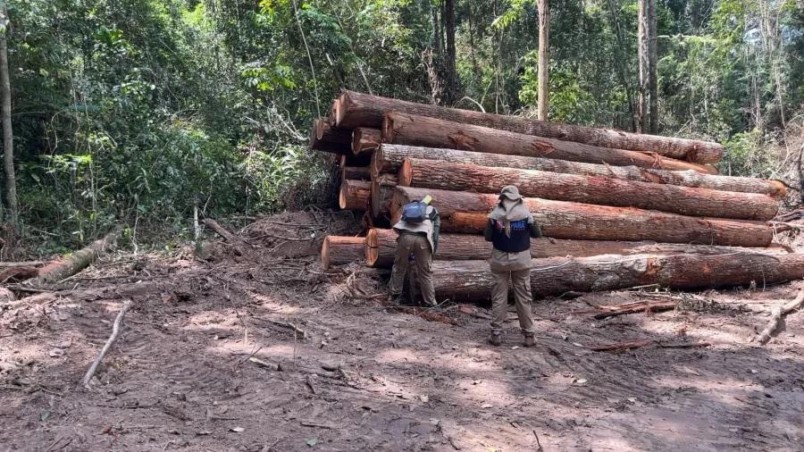 Força Nacional vai apoiar Polícia Federal em Novo Progresso, no Pará