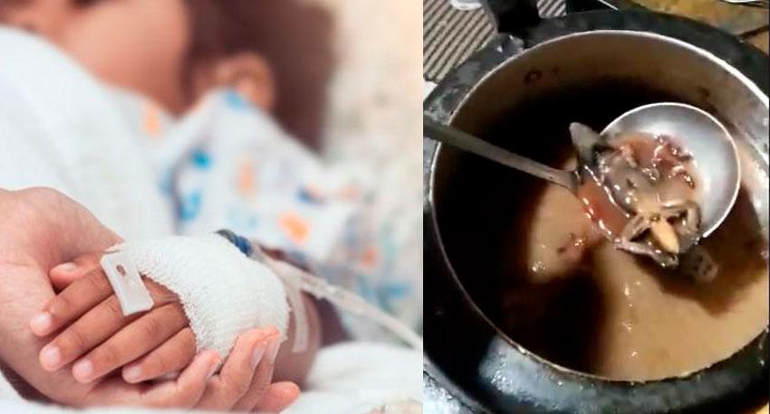 Criança é obrigada a comer lagartixa pela madrasta
