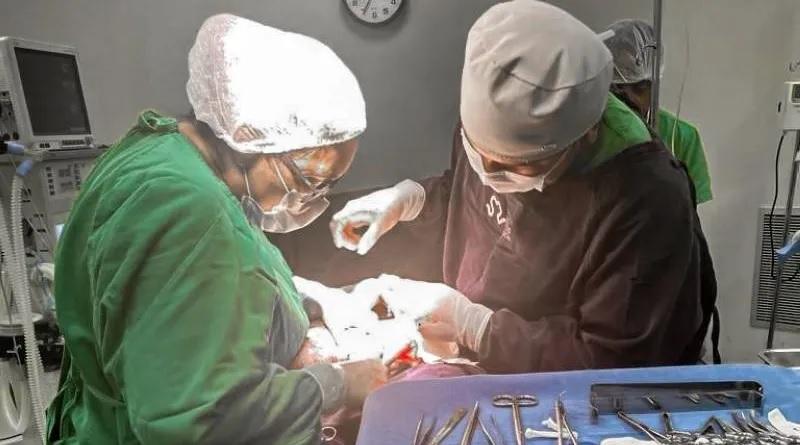 Com mais de 250 partos em 2023, Hospital de Castelo dos Sonhos se consolida como referência em obstetrícia, na região