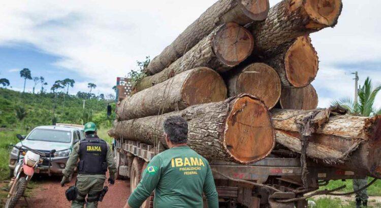 Servidores do Ibama informam que suspenderão atividades de fiscalização ambiental