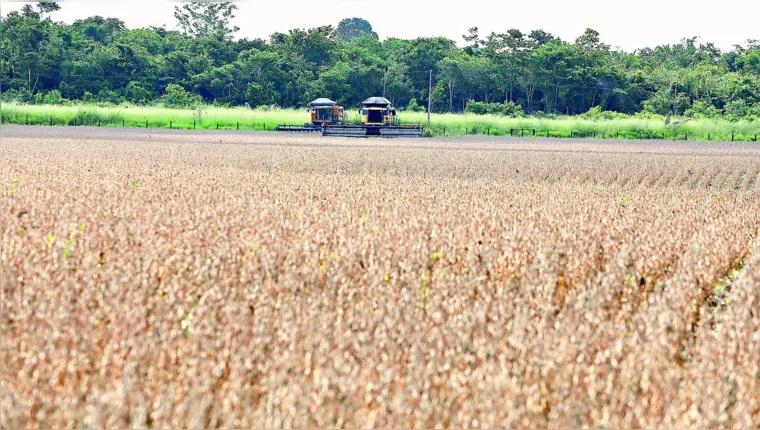 Basa investe R$ 768 milhões na agricultura familiar