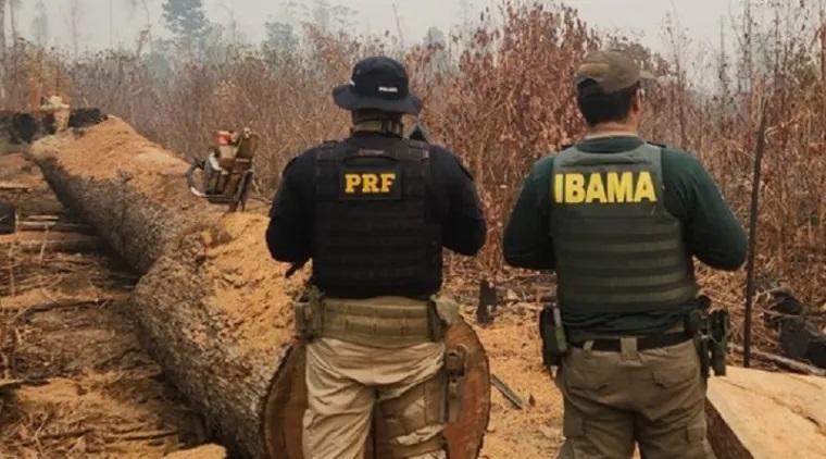 Ibama aplica R$ 80 milhões em multas por queimadas ilegais em Novo Progresso, PA