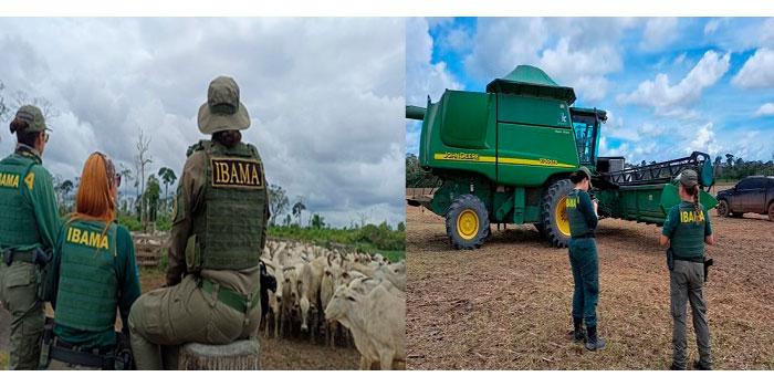 Comissão no senado Federal (CRA), questiona e Ibama vai reavaliar embargos no Pará