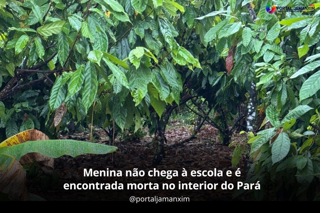 Menina não chega à escola e é encontrada morta no interior do Pará