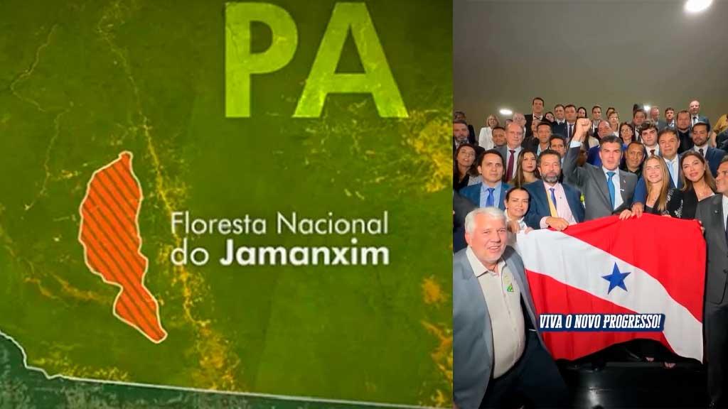 Câmara Federal aprova projeto de lei que reduz limites da Floresta Nacional do Jamanxim no Pará