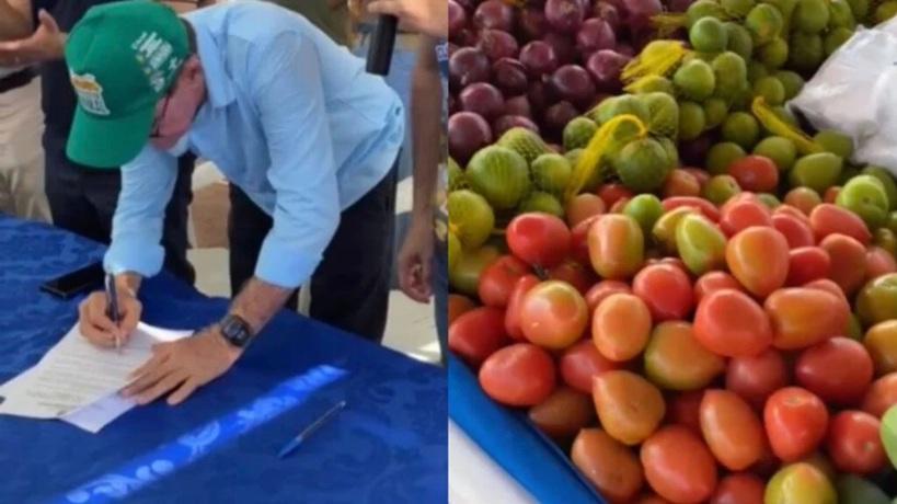 Prefeito sanciona lei que cria Selo de Inspeção Vegetal em Itaituba no Pará