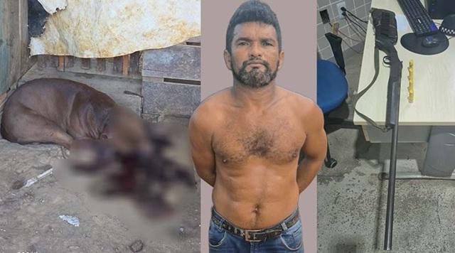 Após discussão, homem mata cachorro com tiro de espingarda e é preso por posse irregular de arma em Santarém