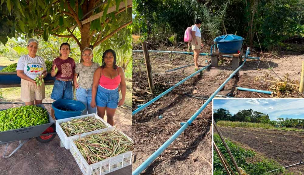 SEMED de Itaituba fortalece alimentação escolar com visita técnica ao Viveiro Tapajós